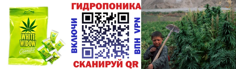 Cannafood марихуана Нефтегорск
