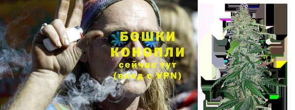 трава Осинники